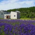 自然とともに過ごす泊まれるレストラン「Auberge erba stella」