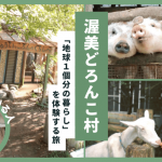 「地球1個分の暮らし」の豊かさを知る!農家民泊・渥美どろんこ村