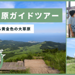 【静岡】山焼きで守る黄金色の大草原・細野高原ガイド