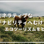リジェネラティブなサステナビリティへむけて:エコツーリズムをヒントに