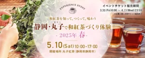 静岡・丸子で和紅茶づくり体験 2025年春 －和紅茶を知って、つくって、味わう－